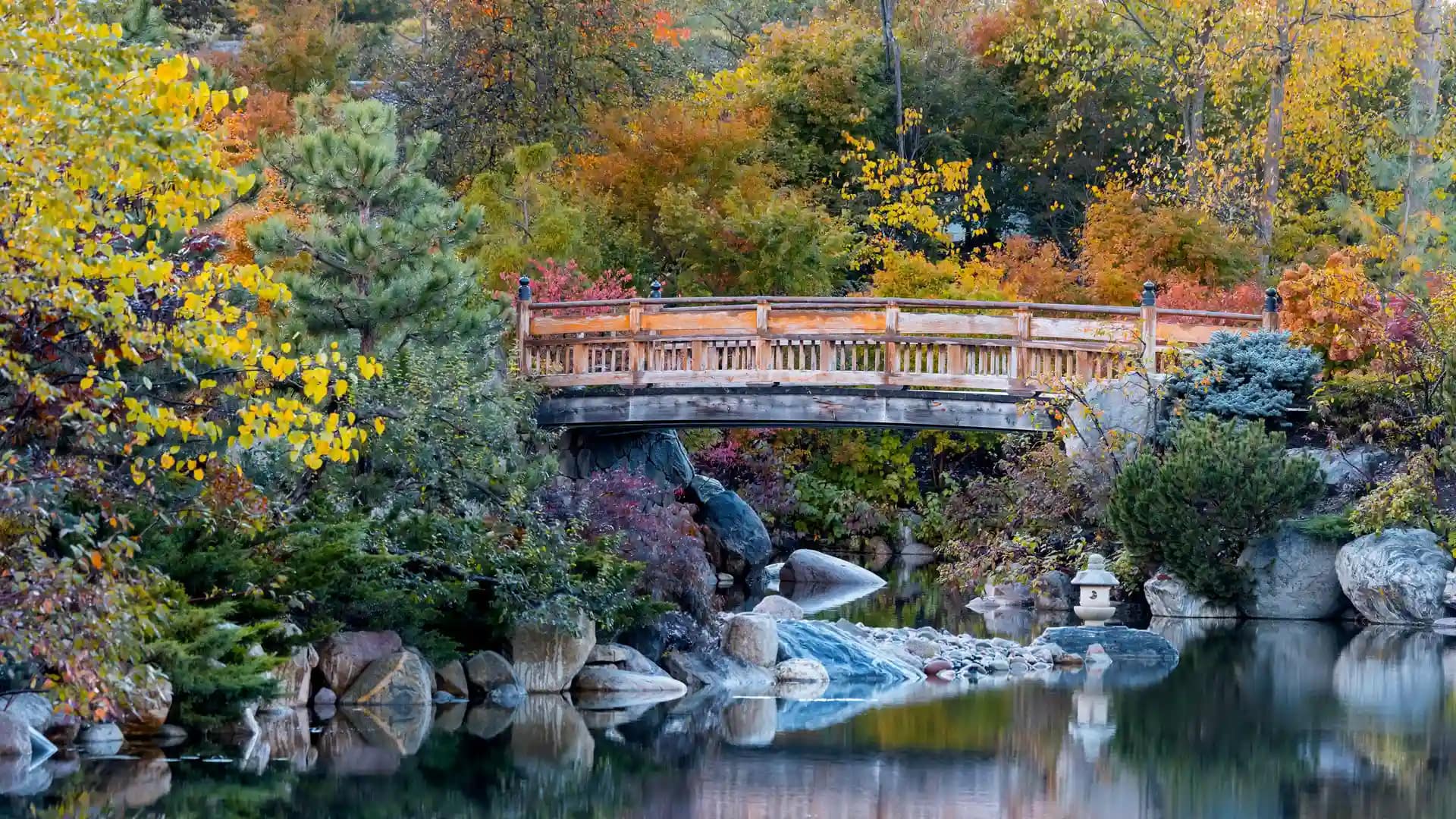 old bridge
